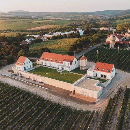 Apartmany Muslovske Vinohrady 米库洛夫 外观 照片